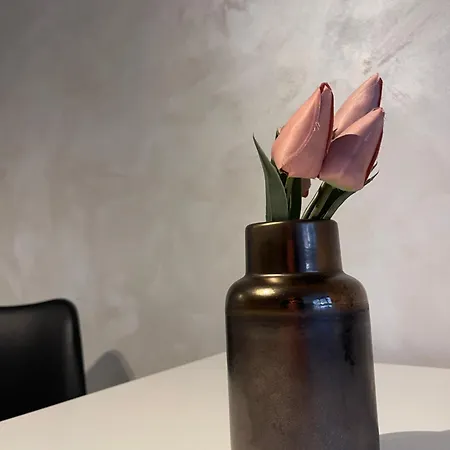 Faleza Nord Summer Appartamento