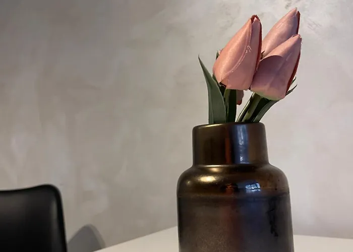 Faleza Nord Summer Appartamento