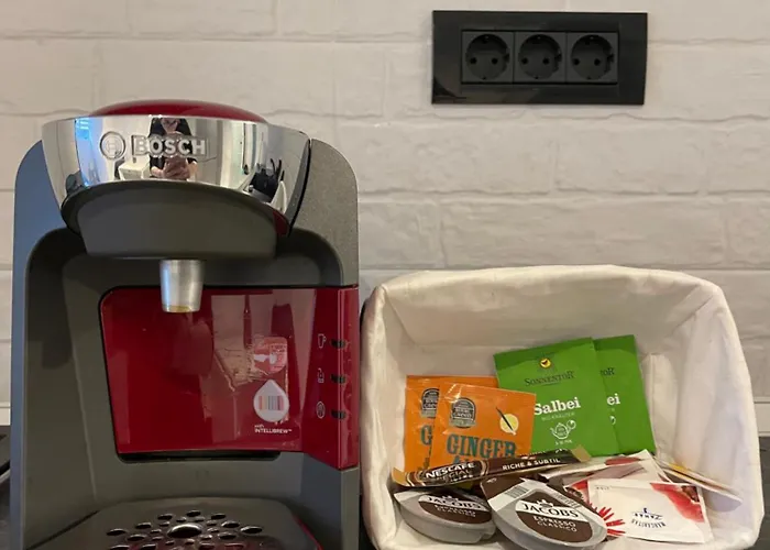 Faleza Nord Summer *