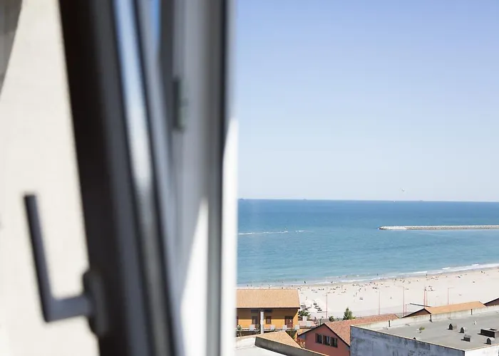 Faleza Nord Summer *