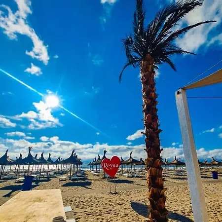 Faleza Nord Summer