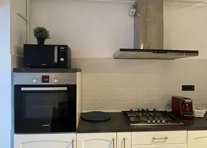 アパート Faleza Nord Summer コンスタンツァ