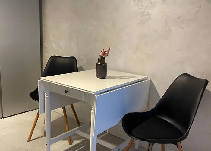 Faleza Nord Summer * コンスタンツァ